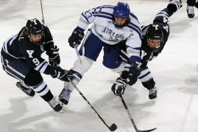 乐鱼体育在线-男子项目频传捷报